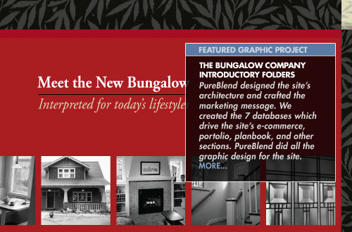 FEATURED GRAPHIC PROJECT: The Bungalow Company Introductory Folders